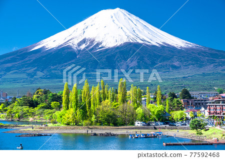 《山梨縣》初夏富士山河口湖美景 《山梨縣》初夏富士山河口湖美景 77592468