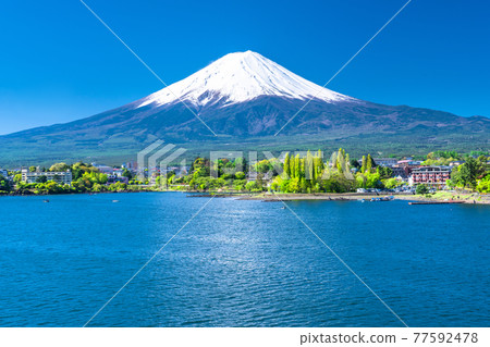《山梨縣》初夏富士山河口湖美景 《山梨縣》初夏富士山河口湖美景 77592478