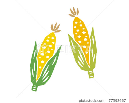 Corn retro illustration Corn retro illustration 77592667