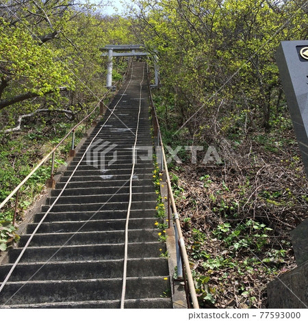 Japan's steepest approach 77593000