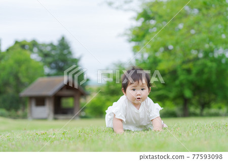 Lawn park baby Lawn park baby 77593098