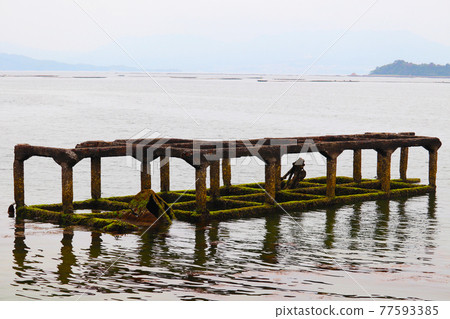 Similar island 77593385