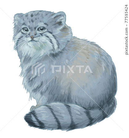 Real touch sitting manul cat Real touch sitting manul cat 77593424