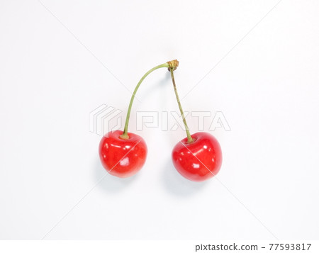 Cherry cherry 77593817