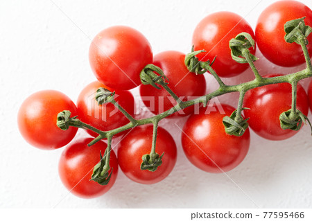 Branched petit tomato Branched petit tomato 77595466