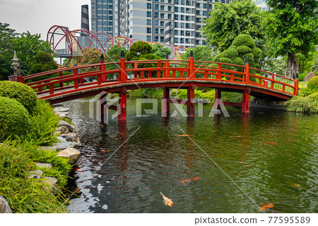 Beautiful Japanese garden and red wooden bridge across the Koi fish pond Beautiful Japanese garden and red wooden bridge across the Koi fish pond 77595589