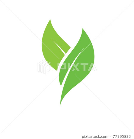 leaf logo green ecology nature element vector image 77595823