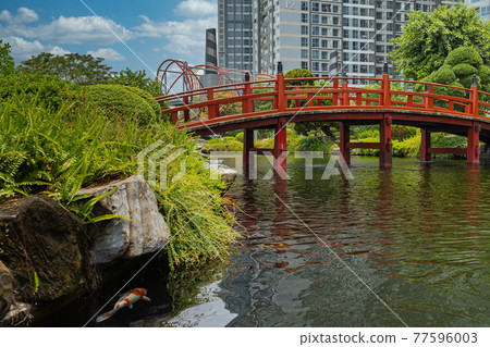 Japanese garden landscape outside the residential complex building Japanese garden landscape outside the residential complex building 77596003