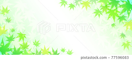 Summer maple refreshing vector illustration background (fresh green) 77596083