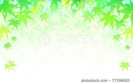 Summer maple refreshing vector illustration background (fresh green) Summer maple refreshing vector illustration background (fresh green) 77596085