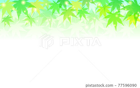 夏季楓葉清爽矢量圖背景(鮮綠色) 夏季楓葉清爽矢量圖背景(鮮綠色) 77596090