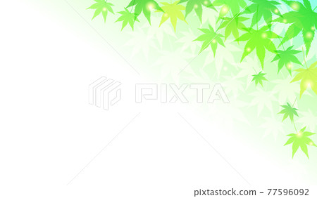 夏季楓葉清爽矢量圖背景(鮮綠色) 夏季楓葉清爽矢量圖背景(鮮綠色) 77596092