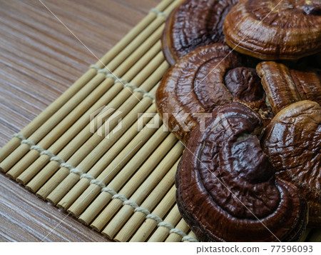 The lingzhi mushroom image close up for alternative medicine or medical and health concept. The lingzhi mushroom image close up for alternative medicine or medical and health concept. 77596093