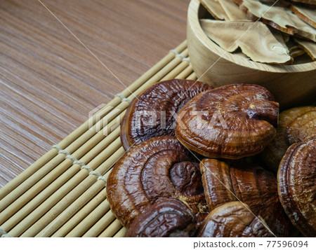 The lingzhi mushroom image close up for alternative medicine or medical and health concept. The lingzhi mushroom image close up for alternative medicine or medical and health concept. 77596094