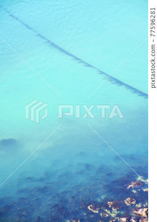 Rich seafood fishing grounds in the Naruto Strait Rich seafood fishing grounds in the Naruto Strait 77596281