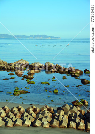 鳴門海峽豐富的海鮮漁場 鳴門海峽豐富的海鮮漁場 77596433