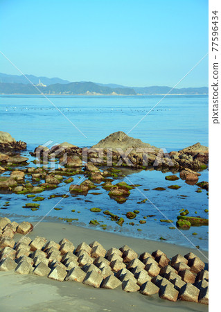 Rich seafood fishing grounds in the Naruto Strait Rich seafood fishing grounds in the Naruto Strait 77596434