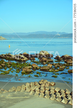 Rich seafood fishing grounds in the Naruto Strait Rich seafood fishing grounds in the Naruto Strait 77596435