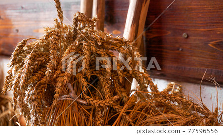 Golden ears of wheat on a wooden background. Ears for making flour 77596556