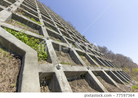 鎖栓法自由框框 77597364