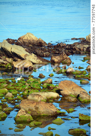 Beautiful beaches of the calm Naruto Strait Beautiful beaches of the calm Naruto Strait 77597748