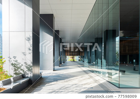 川崎三角洲 77598009