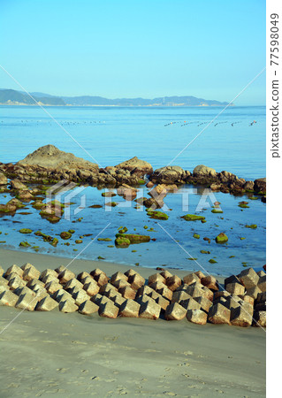 平靜的鳴門海峽的美麗海灘 平靜的鳴門海峽的美麗海灘 77598049