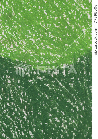 green grunge textured abstract background. dark and light green pastel painted surface green grunge textured abstract background. dark and light green pastel painted surface 77599006