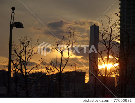 Dusk scene Dusk scene 77600981