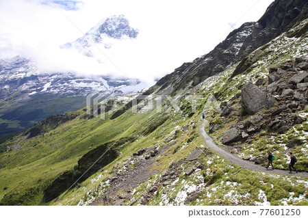 View from the hiking trail from Menrichen to Kleine Scheidegg (Switzerland) View from the hiking trail from Menrichen to Kleine Scheidegg (Switzerland) 77601250
