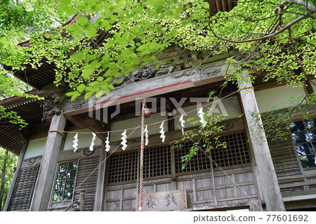 Miyao Shrine 02 (Uko Nakamura) Miyao Shrine 02 (Uko Nakamura) 77601692