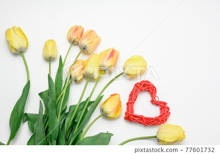 red heart and yellow tulips on white background, top view 77601732