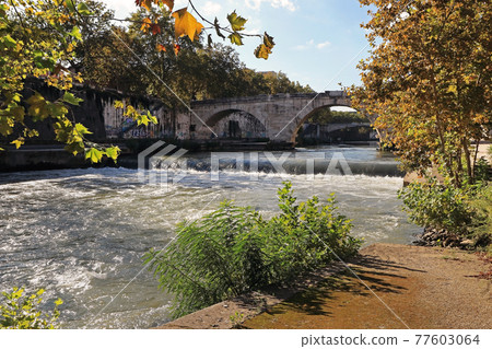Early autumn on the banks of the Tiber, Rome Early autumn on the banks of the Tiber, Rome 77603064