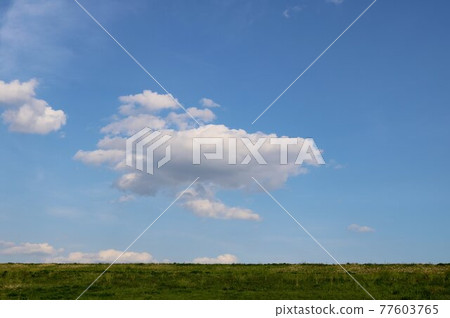 清爽的天空河床渡良瀨春景 清爽的天空河床渡良瀨春景 77603765