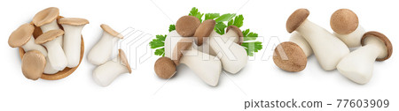 King Oyster mushroom or Eringi isolated on white background . Set or collection 77603909