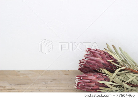 Dried Protea Venus Flower 77604460