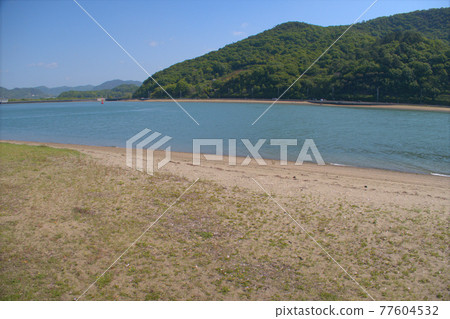 Kasaoka Bay Kabuto Crab Breeding Area, a nationally designated natural monument, Kasaoka City, Okayama Prefecture 77604532