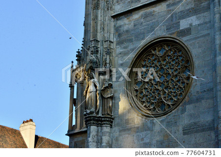 Exterior of St. Stephen's Cathedral in Vienna, Austria 77604731