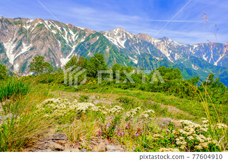 礦山和白馬三山 77604910