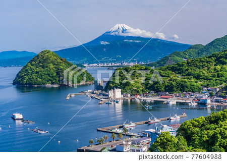(Shizuoka Prefecture) Uchiura Bay and Mt. Fuji with beautiful fresh greenery (Shizuoka Prefecture) Uchiura Bay and Mt. Fuji with beautiful fresh greenery 77604988