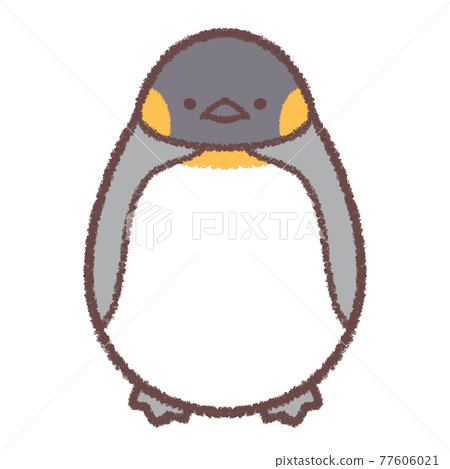 Crow Penguin 77606021