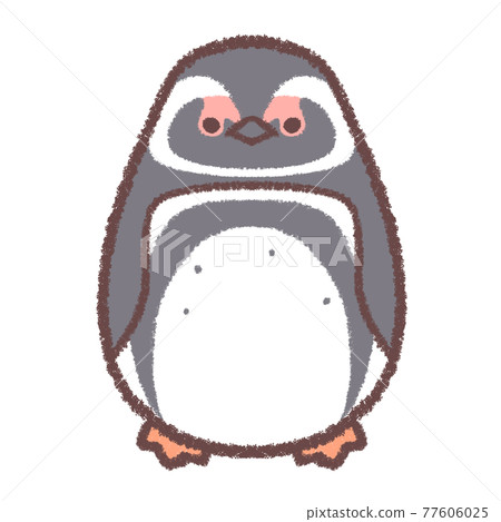 Magellan penguin Magellan penguin 77606025