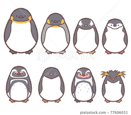 8 types of penguins set 77606031