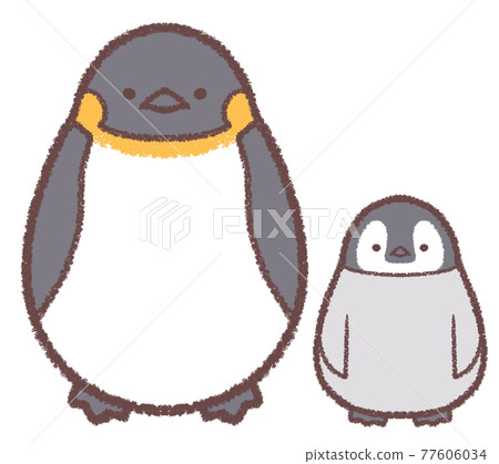 Emperor penguin parent and child 77606034