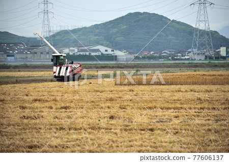 May, preparation for rice planting May, preparation for rice planting 77606137