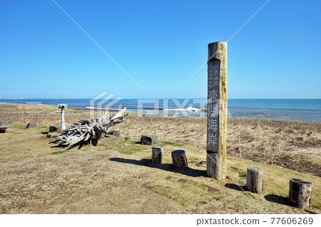 北海道白鹿町路邊站白鹿小糸 77606269