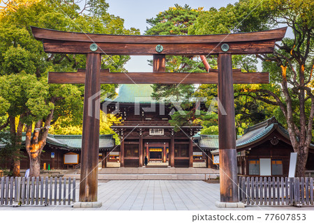 Meiji Shrine in Tokyo, Japan. 77607853