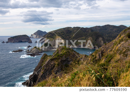 芒草、島嶼和駿河灣 芒草、島嶼和駿河灣 77609390