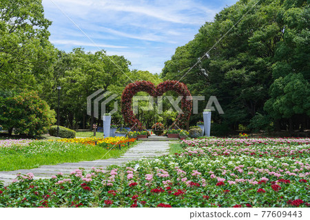 長井植物園的花壇 77609443