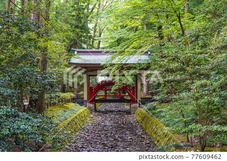 彌彥神社的玉橋 77609462